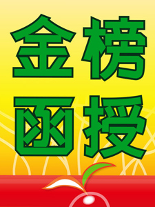 113年 金榜函授 民事訴訟法A(不包含家事法) 32堂課 宋定翔老師 含PDF講義 函授DVD(11DVD)(司律適用)